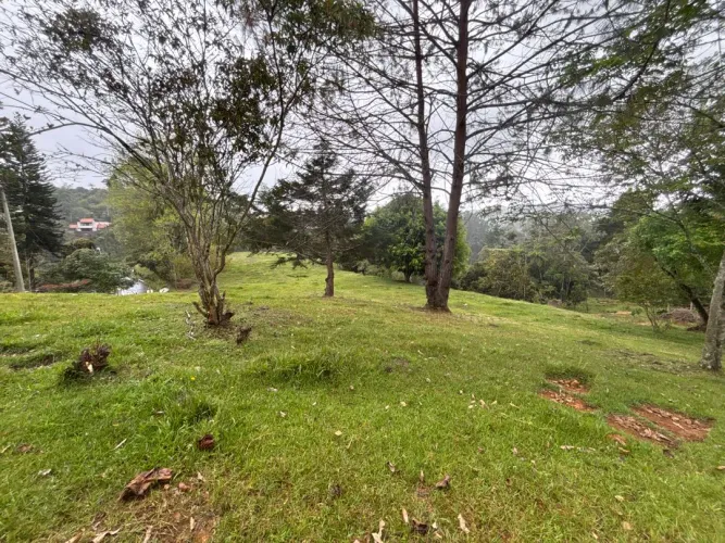 Lote en venta en Guayabito, Rionegro, 10000 m² · foto 7 de 12