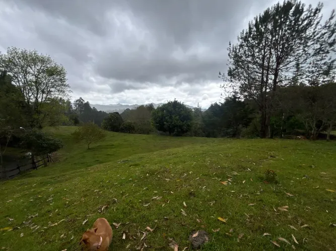 Lote en venta en Guayabito, Rionegro, 10000 m² · foto 8 de 12