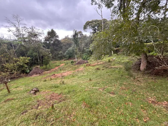 Lote en venta en Guayabito, Rionegro, 10000 m² · foto 9 de 12