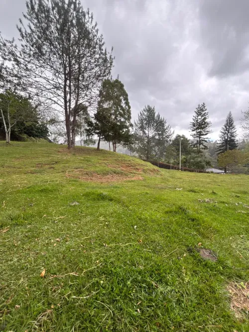 Lote en venta en Guayabito, Rionegro, 10000 m² · foto 11 de 12