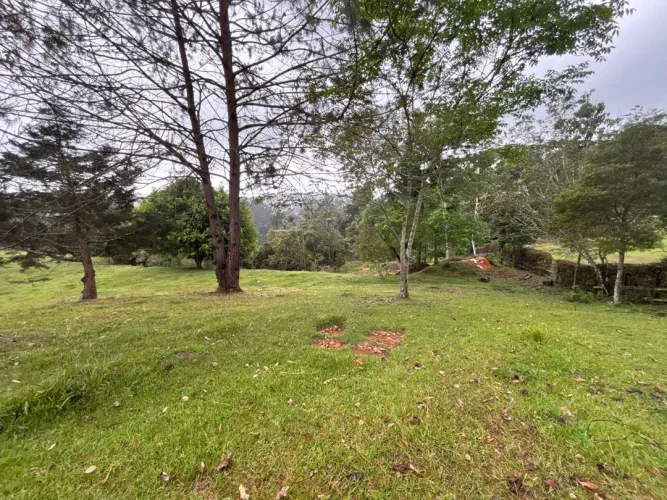 Lote en venta en Guayabito, Rionegro, 10000 m² · foto 12 de 12