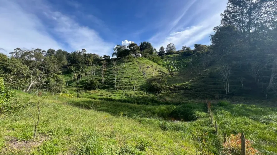 Lote en venta en Quirama, El Carmen de Viboral, 2646 m² · foto 5 de 10