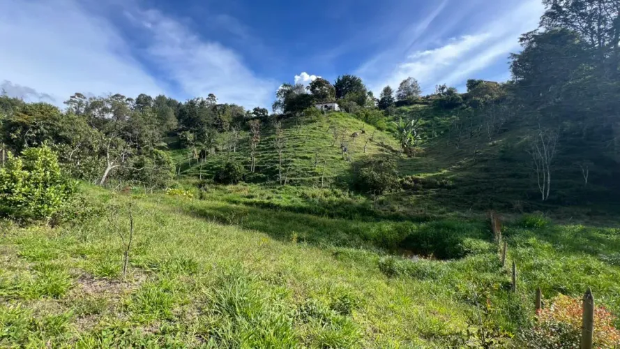 Lote en venta en Quirama, El Carmen de Viboral, 2646 m² · foto 7 de 10