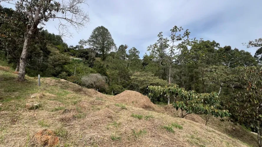 Lote en venta en Tablacito, Rionegro, 5000 m² · foto 6 de 6