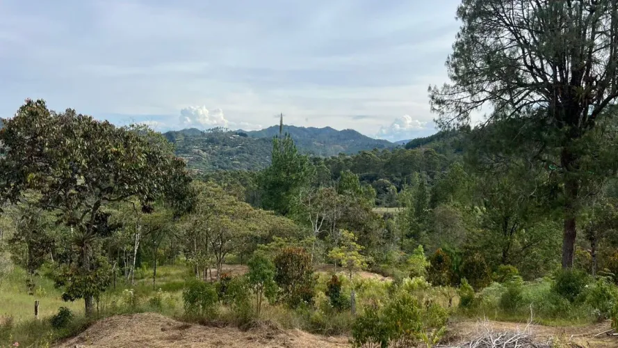 Lote en venta en Tablacito, Rionegro, 6400 m² · foto 3 de 10