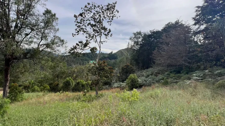 Lote en venta en Tablacito, Rionegro, 6400 m² · foto 4 de 10