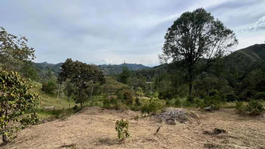 Lote en venta en Tablacito, Rionegro, 6400 m² · foto 5 de 10