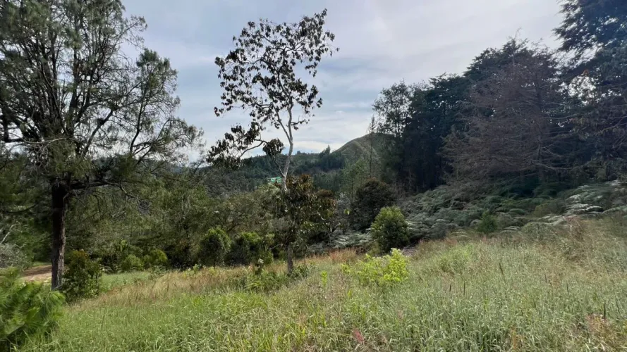 Lote en venta en Tablacito, Rionegro, 6400 m² · foto 6 de 10