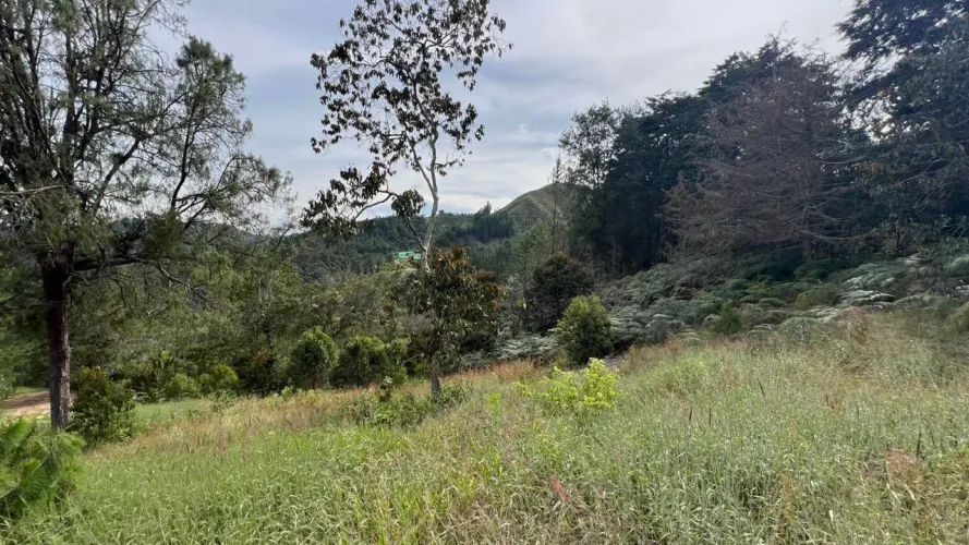 Lote en venta en Tablacito, Rionegro, 6400 m² · foto 8 de 10