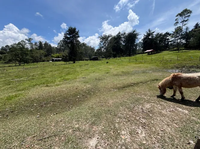 Casa en venta en Guayabito, Rionegro · foto 4 de 10