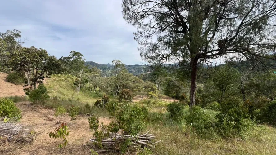 Lote en venta en Tablacito, Rionegro, 6400 m² · foto 10 de 10