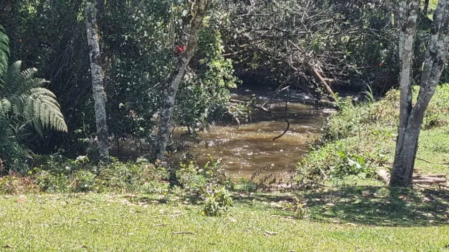 Casa en venta en Guayabito, Rionegro · foto 7 de 10
