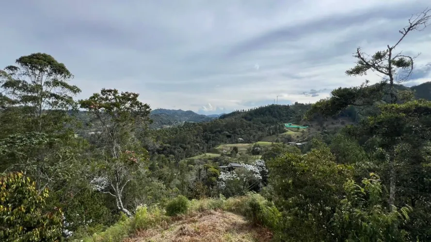 Lote en venta en Tablacito, Rionegro, 5000 m² · foto 4 de 24