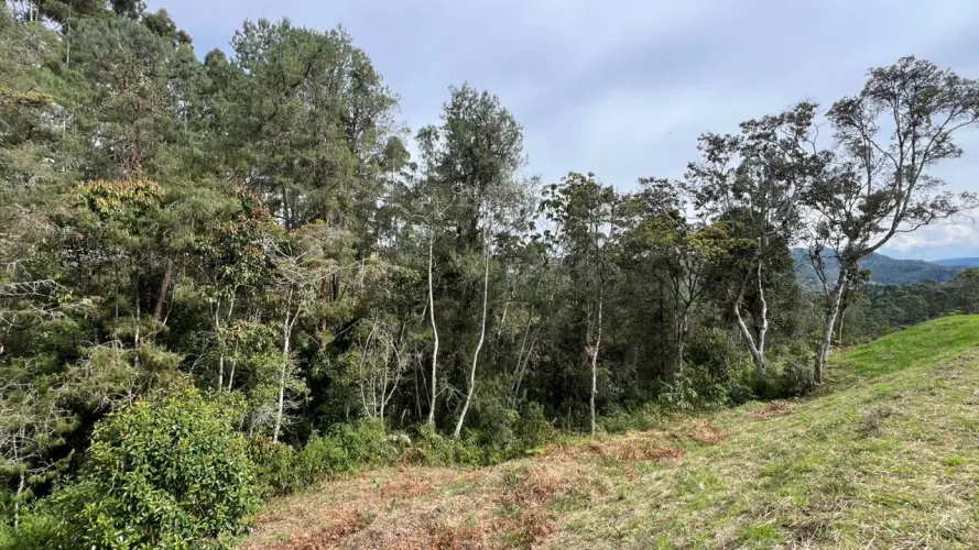Lote en venta en Tablacito, Rionegro, 5000 m² · foto 5 de 24