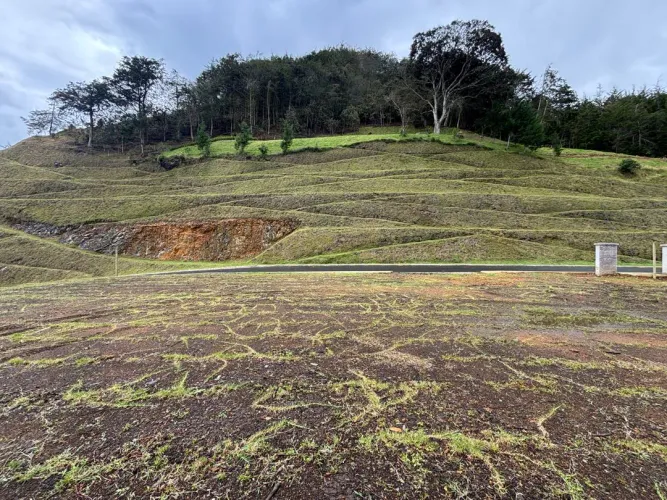 Lote en venta en Guayabito, Rionegro, 1200 m² · foto 5 de 7