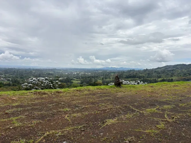 Lote en venta en Guayabito, Rionegro, 1200 m² · foto 6 de 7