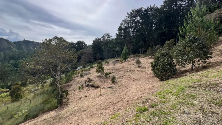 Lote en venta en Tablacito, Rionegro, 5000 m² · foto 13 de 24
