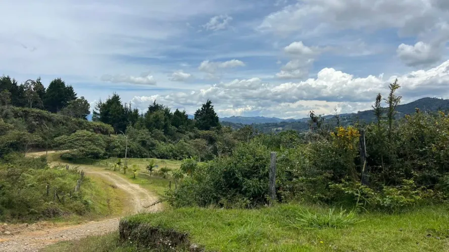 Lote en venta en Guayabito, Rionegro · foto 2 de 24