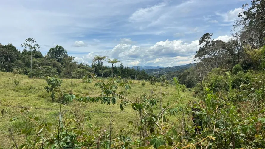 Lote en venta en Guayabito, Rionegro · foto 4 de 24