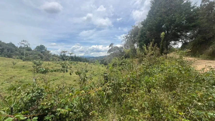 Lote en venta en Guayabito, Rionegro · foto 7 de 24
