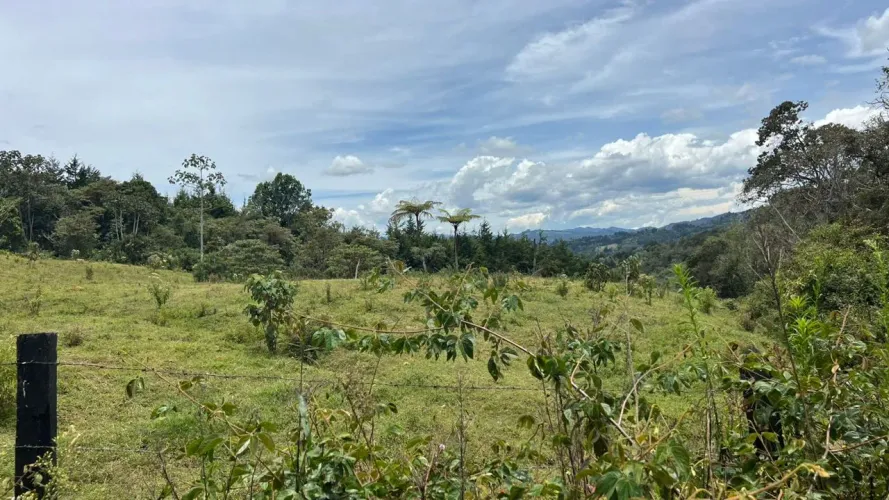 Lote en venta en Guayabito, Rionegro · foto 10 de 24