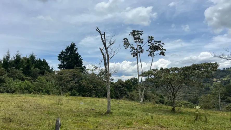 Lote en venta en Guayabito, Rionegro · foto 13 de 24