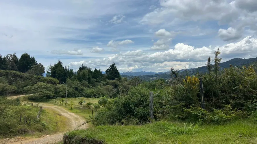 Lote en venta en Guayabito, Rionegro · foto 14 de 24