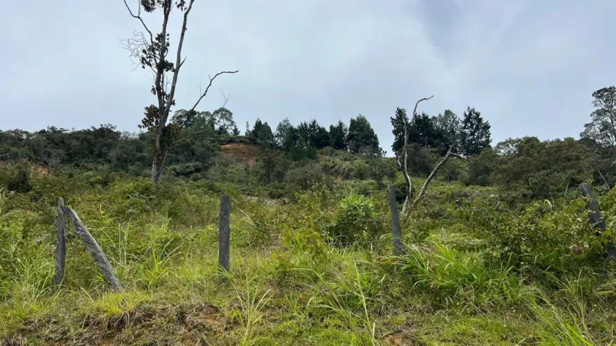 Lote en venta en Guayabito, Rionegro · foto 16 de 24