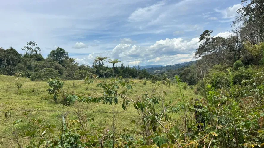 Lote en venta en Guayabito, Rionegro · foto 18 de 24