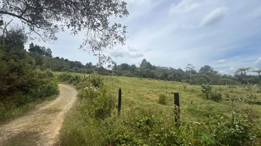 Lote en venta en Guayabito, Rionegro · foto 20 de 24