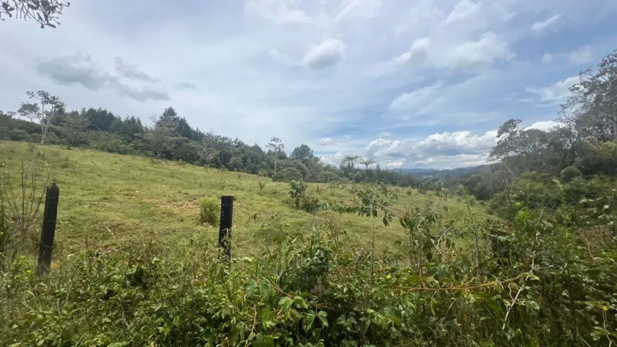 Lote en venta en Guayabito, Rionegro · foto 24 de 24
