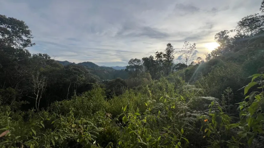 Lote en venta en Guayabito, Rionegro, 4000 m² · foto 2 de 4