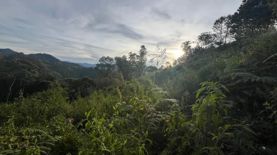Lote en venta en Guayabito, Rionegro, 4000 m² · foto 3 de 4