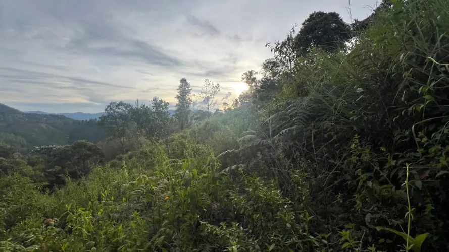 Lote en venta en Guayabito, Rionegro, 4000 m² · foto 4 de 4
