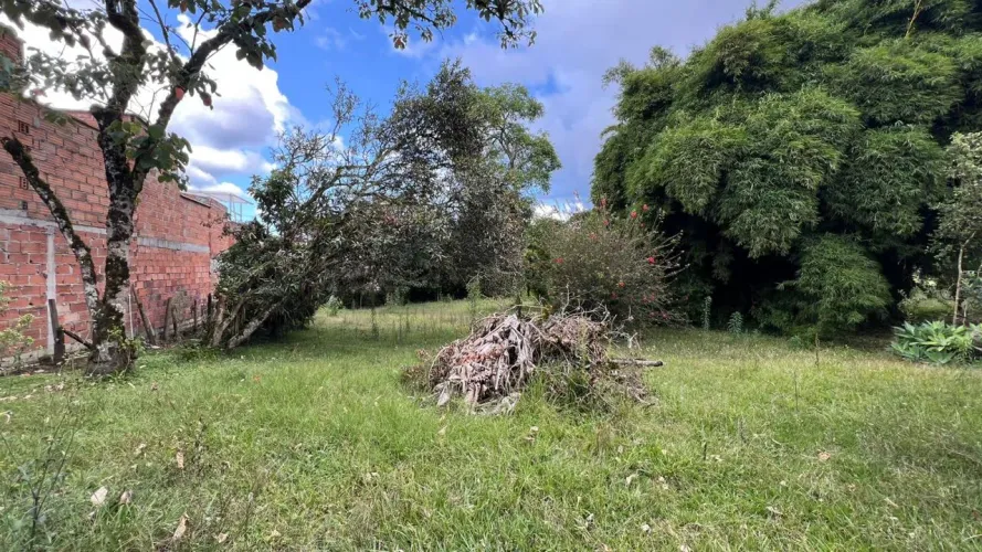 Lote en venta en Guayabito, Rionegro, 10040 m² · foto 3 de 18