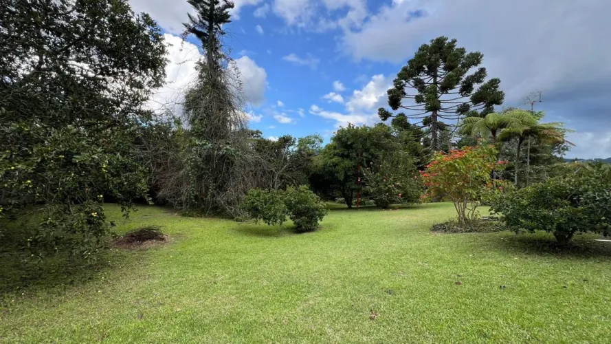 Lote en venta en Guayabito, Rionegro, 10040 m² · foto 4 de 18