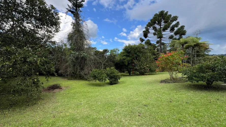 Lote en venta en Guayabito, Rionegro, 10040 m² · foto 6 de 18