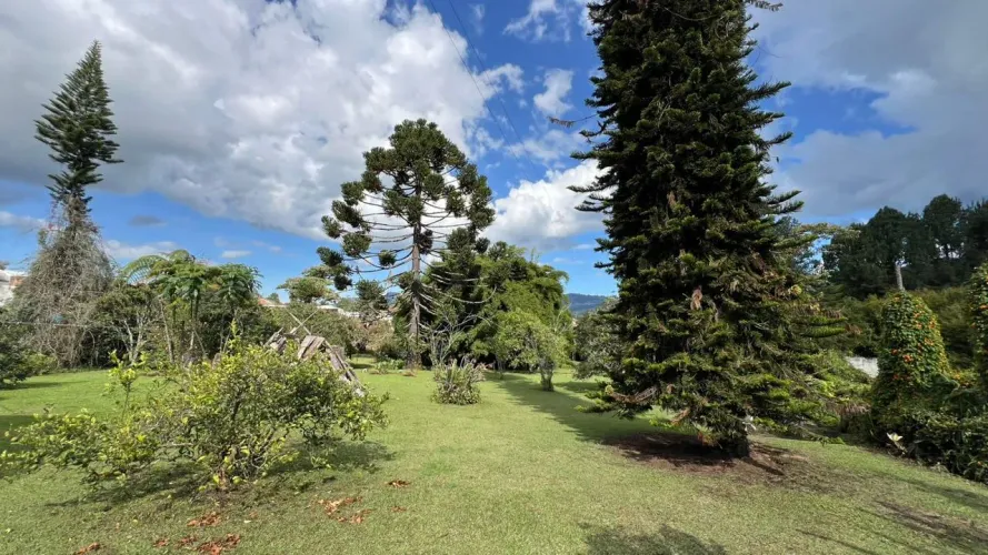 Lote en venta en Guayabito, Rionegro, 10040 m² · foto 7 de 18