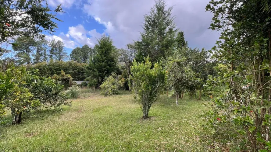 Lote en venta en Guayabito, Rionegro, 10040 m² · foto 8 de 18