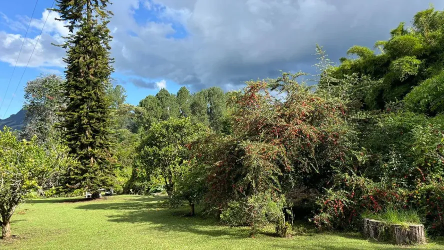Lote en venta en Guayabito, Rionegro, 10040 m² · foto 9 de 18