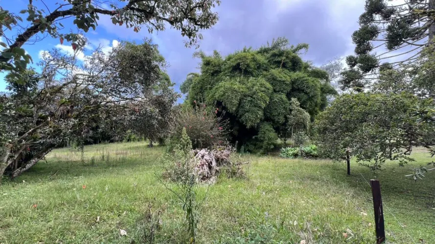 Lote en venta en Guayabito, Rionegro, 10040 m² · foto 10 de 18