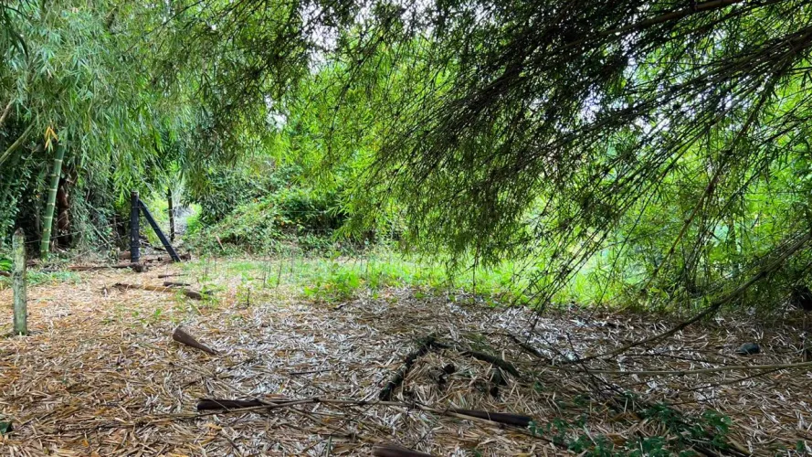 Lote en venta en Guayabito, Rionegro, 10040 m² · foto 12 de 18