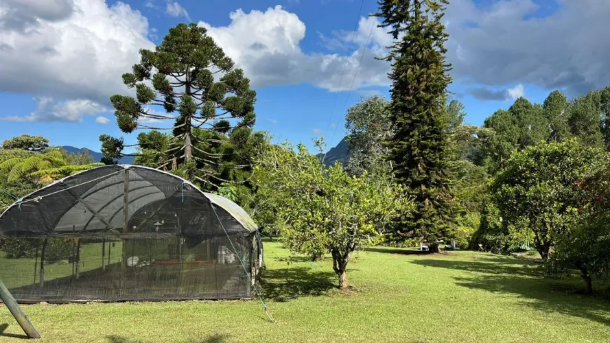Lote en venta en Guayabito, Rionegro, 10040 m² · foto 13 de 18