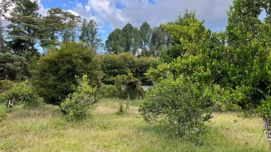 Lote en venta en Guayabito, Rionegro, 10040 m² · foto 15 de 18