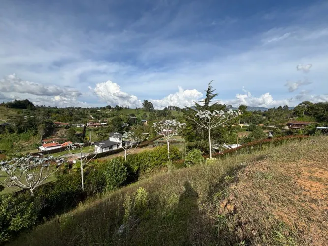 Lote en venta en Guayabito, Rionegro, 2527 m² · foto 3 de 24