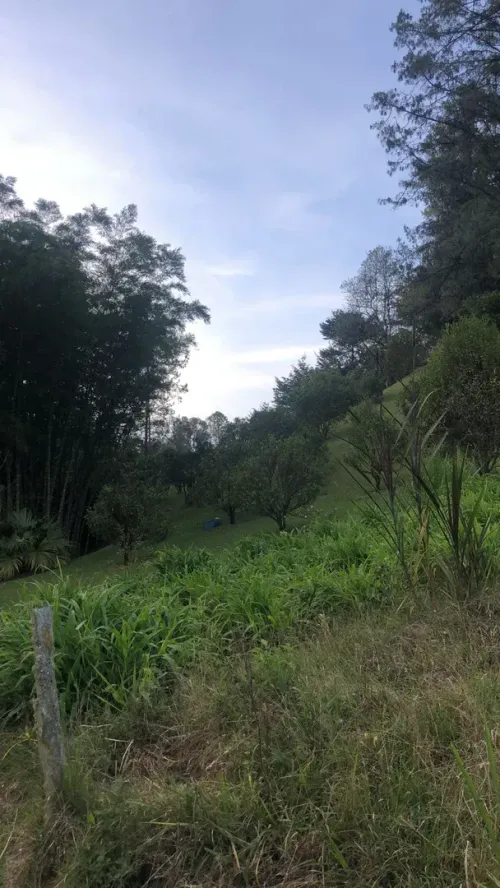 Lote en venta en Guayabito, Rionegro, 5874 m² · foto 2 de 6