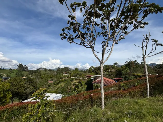 Lote en venta en Guayabito, Rionegro, 2527 m² · foto 5 de 24