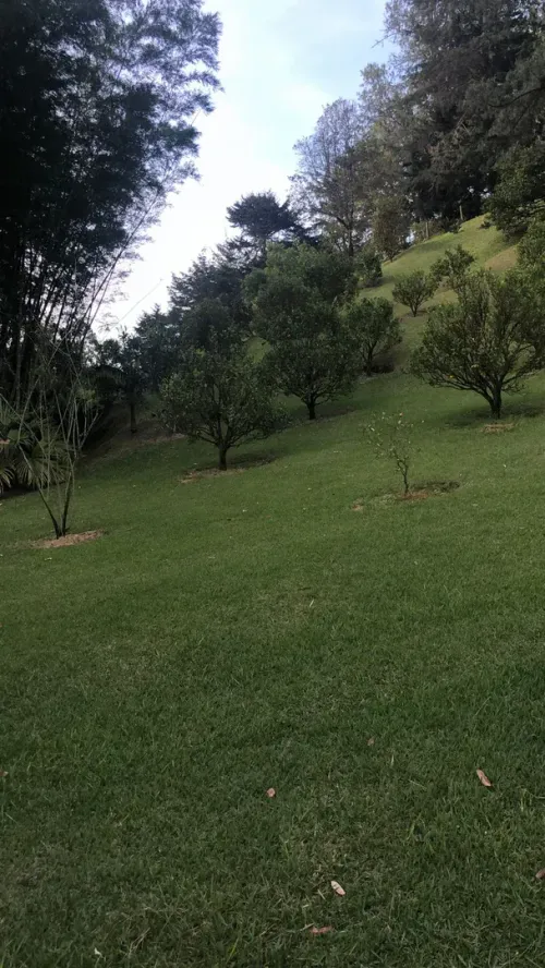 Lote en venta en Guayabito, Rionegro, 5874 m² · foto 3 de 6