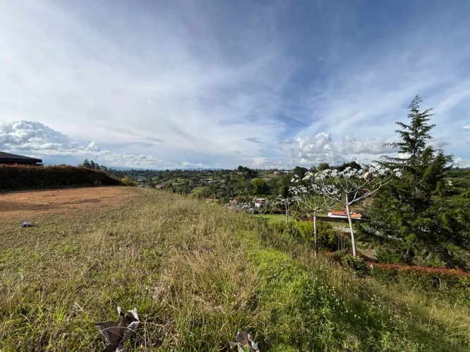Lote en venta en Guayabito, Rionegro, 2527 m² · foto 6 de 24