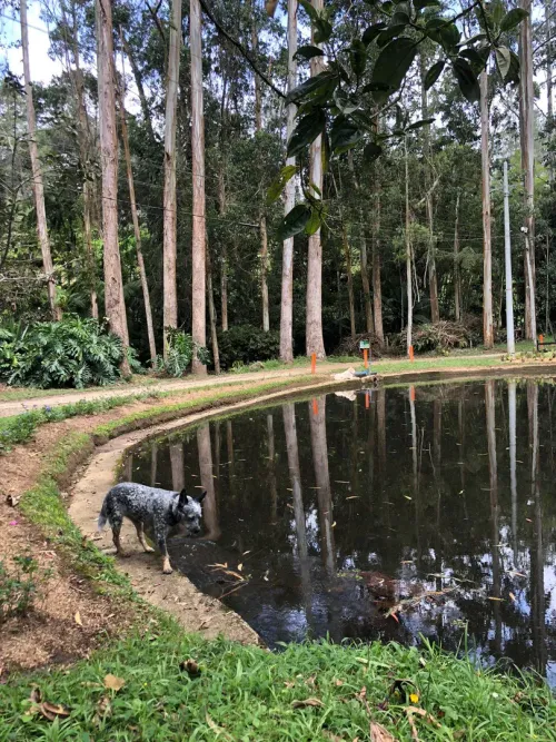 Lote en venta en Guayabito, Rionegro, 5874 m² · foto 4 de 6